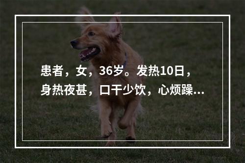 患者，女，36岁。发热10日，身热夜甚，口干少饮，心烦躁扰，