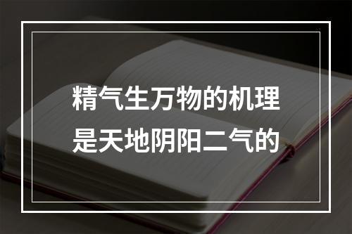 精气生万物的机理是天地阴阳二气的