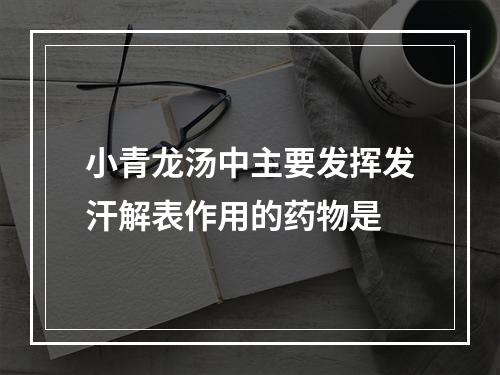 小青龙汤中主要发挥发汗解表作用的药物是