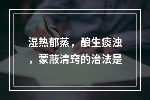 湿热郁蒸，酿生痰浊，蒙蔽清窍的治法是