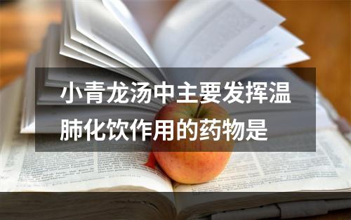 小青龙汤中主要发挥温肺化饮作用的药物是