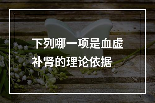 下列哪一项是血虚补肾的理论依据