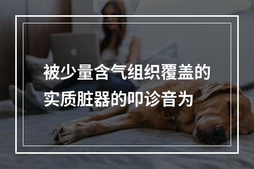 被少量含气组织覆盖的实质脏器的叩诊音为