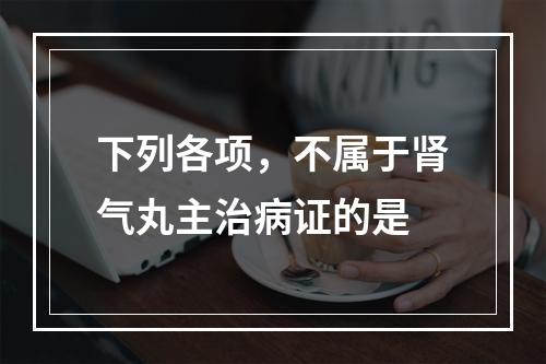 下列各项，不属于肾气丸主治病证的是