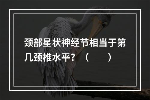 颈部星状神经节相当于第几颈椎水平？（　　）