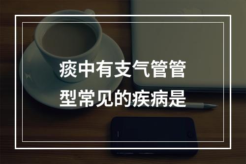 痰中有支气管管型常见的疾病是