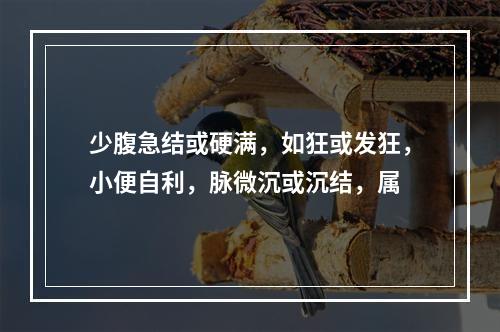 少腹急结或硬满，如狂或发狂，小便自利，脉微沉或沉结，属