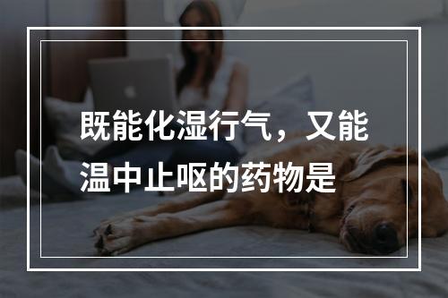 既能化湿行气，又能温中止呕的药物是