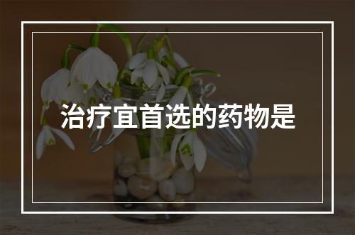 治疗宜首选的药物是