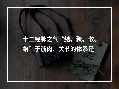 十二经脉之气“结、聚、散、络”于筋肉、关节的体系是