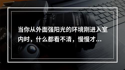 当你从外面强阳光的环境刚进入室内时，什么都看不清，慢慢才能