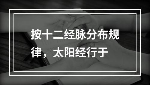 按十二经脉分布规律，太阳经行于