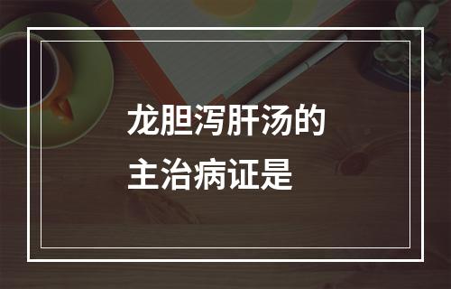 龙胆泻肝汤的主治病证是