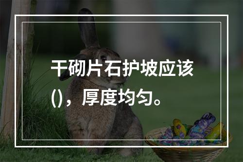 干砌片石护坡应该()，厚度均匀。