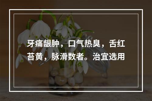 牙痛龈肿，口气热臭，舌红苔黄，脉滑数者。治宜选用