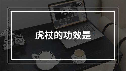 虎杖的功效是