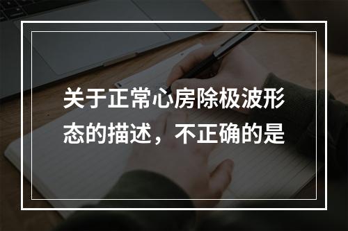 关于正常心房除极波形态的描述，不正确的是