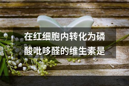 在红细胞内转化为磷酸吡哆醛的维生素是