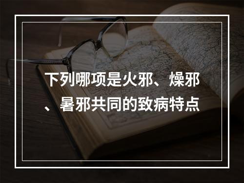 下列哪项是火邪、燥邪、暑邪共同的致病特点