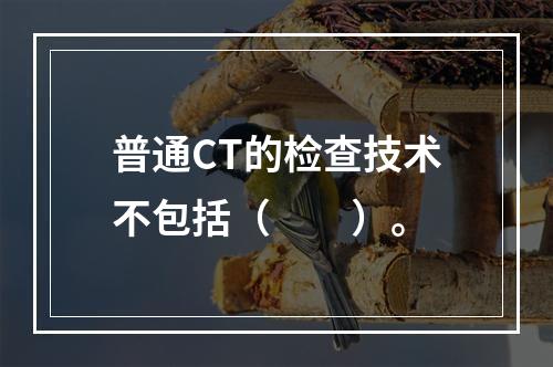 普通CT的检查技术不包括（　　）。