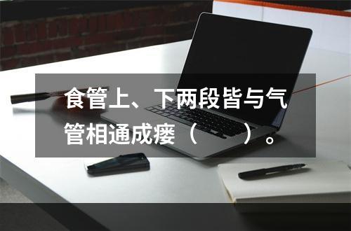 食管上、下两段皆与气管相通成瘘（　　）。