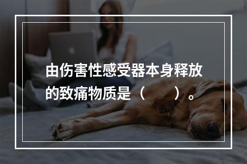 由伤害性感受器本身释放的致痛物质是（　　）。