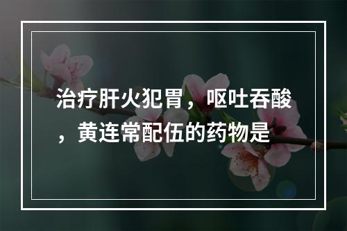 治疗肝火犯胃，呕吐吞酸，黄连常配伍的药物是