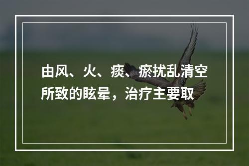 由风、火、痰、瘀扰乱清空所致的眩晕，治疗主要取