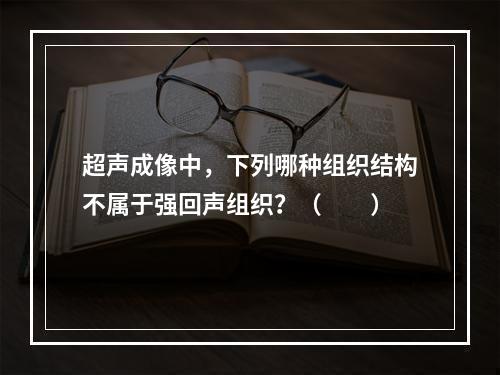 超声成像中，下列哪种组织结构不属于强回声组织？（　　）