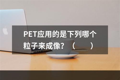 PET应用的是下列哪个粒子来成像？（　　）