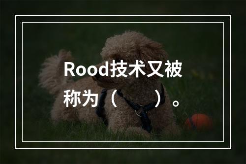 Rood技术又被称为（　　）。