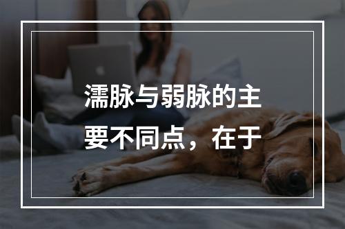 濡脉与弱脉的主要不同点，在于