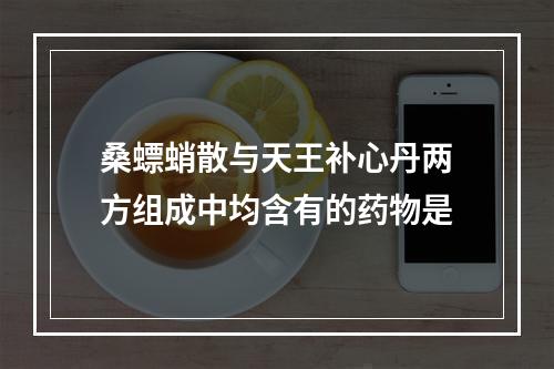 桑螵蛸散与天王补心丹两方组成中均含有的药物是