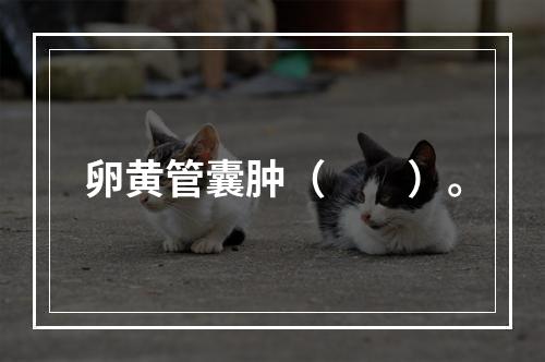 卵黄管囊肿（　　）。