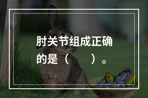 肘关节组成正确的是（　　）。