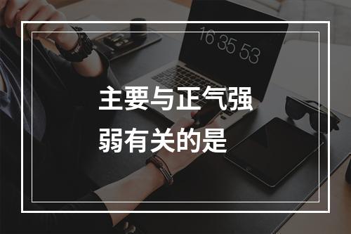 主要与正气强弱有关的是