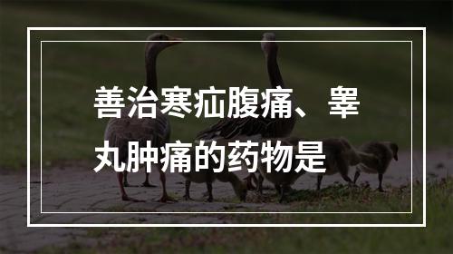 善治寒疝腹痛、睾丸肿痛的药物是