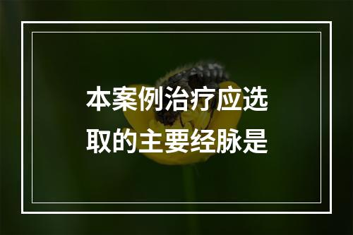 本案例治疗应选取的主要经脉是