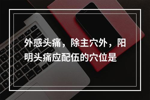 外感头痛，除主穴外，阳明头痛应配伍的穴位是