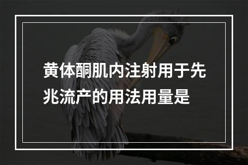 黄体酮肌内注射用于先兆流产的用法用量是