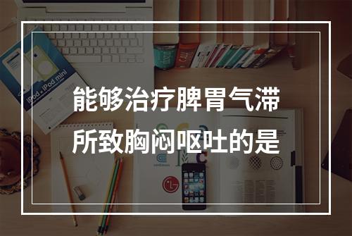 能够治疗脾胃气滞所致胸闷呕吐的是