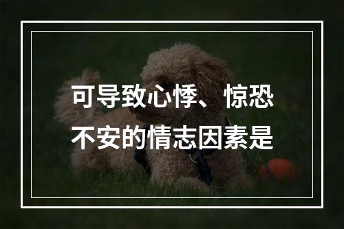 可导致心悸、惊恐不安的情志因素是