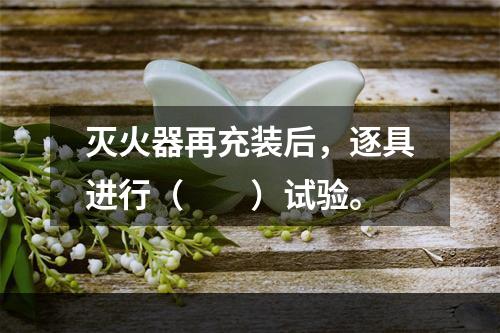 灭火器再充装后，逐具进行（  ）试验。