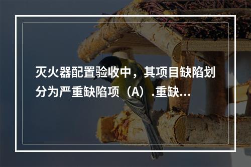 灭火器配置验收中，其项目缺陷划分为严重缺陷项（A）.重缺陷项