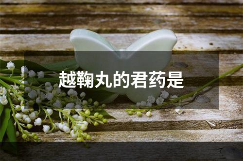 越鞠丸的君药是