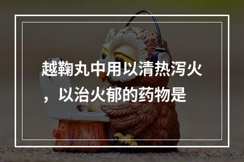 越鞠丸中用以清热泻火，以治火郁的药物是