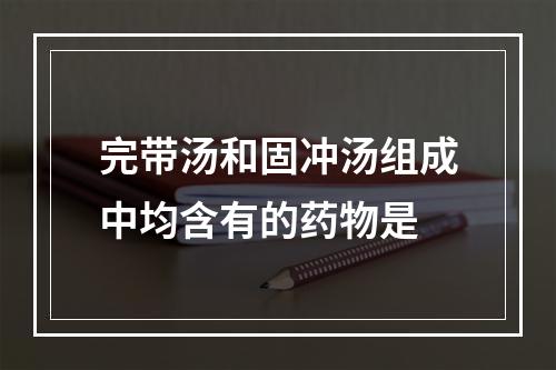 完带汤和固冲汤组成中均含有的药物是