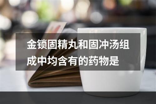 金锁固精丸和固冲汤组成中均含有的药物是