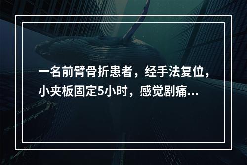 一名前臂骨折患者，经手法复位，小夹板固定5小时，感觉剧痛，手