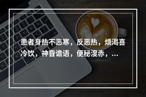 患者身热不恶寒，反恶热，烦渴喜冷饮，神昏谵语，便秘溲赤，手足